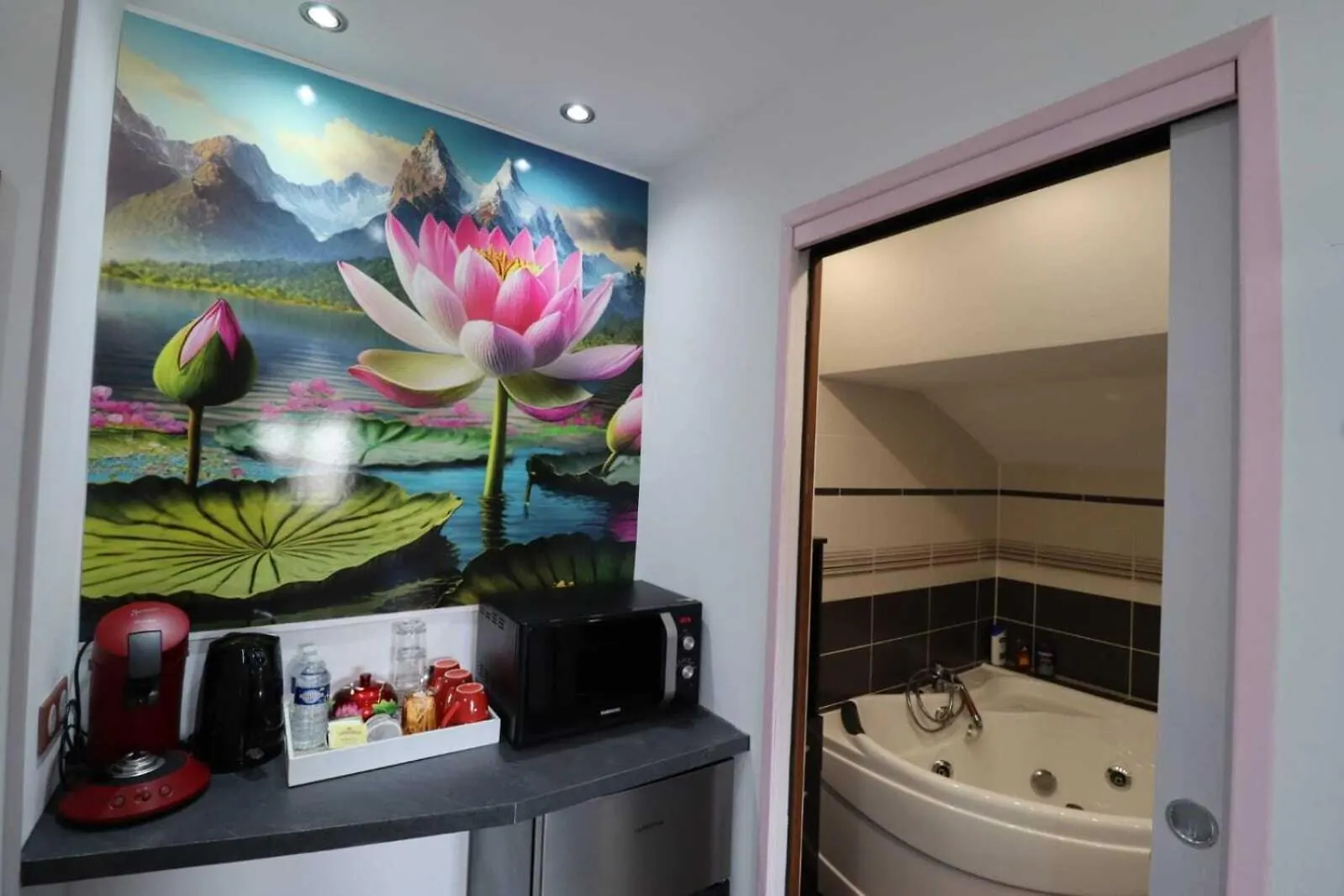 Le Lotus Blanc Hotell Albertville Frankrike