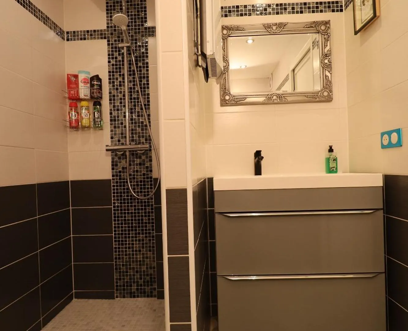 Le Lotus Blanc Hotell Albertville 3*,