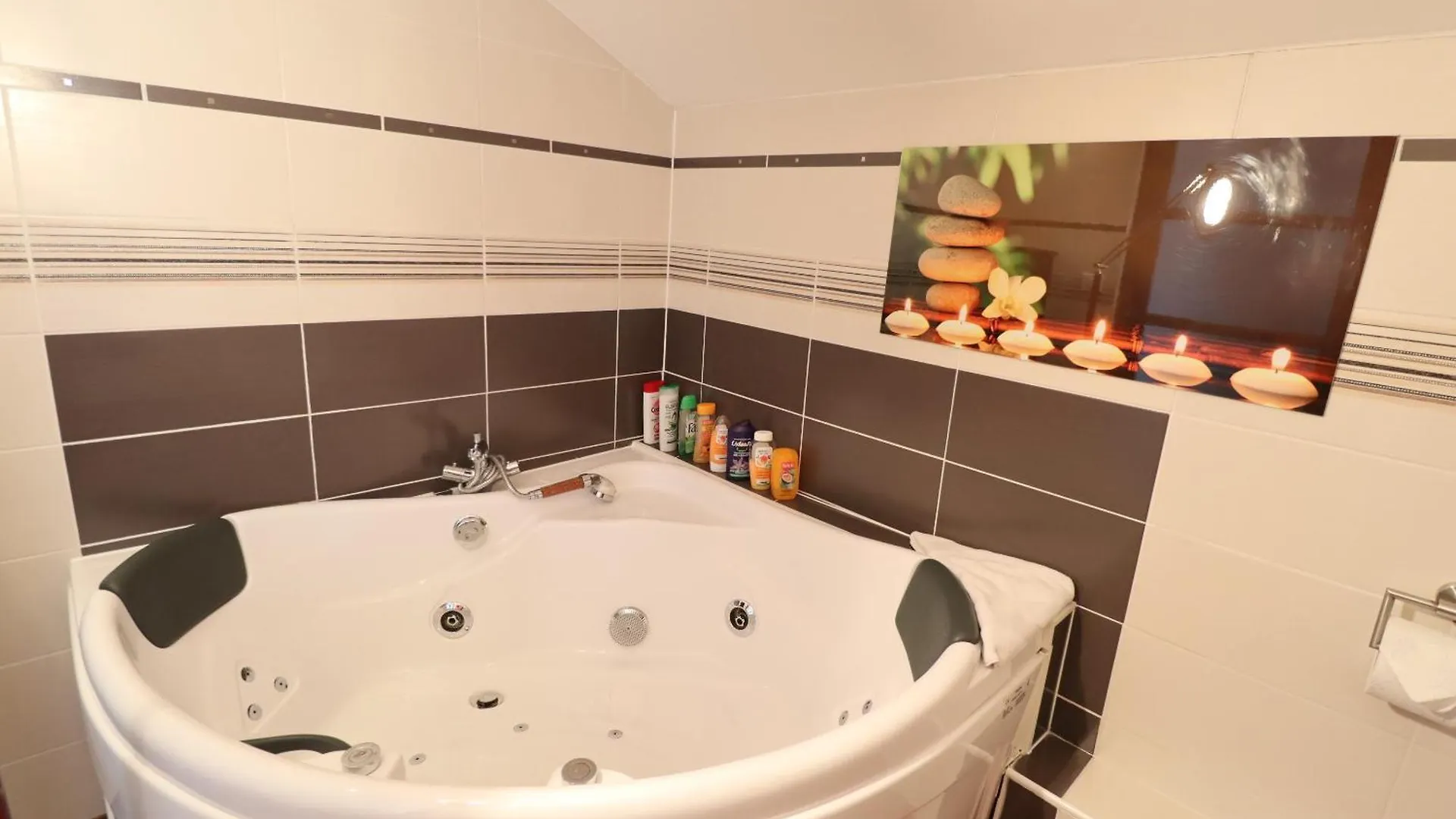 Le Lotus Blanc Hotell Albertville Pensionat